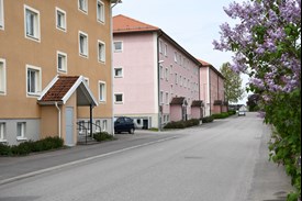 En lugn bostadsgata med pastellfärgade flerfamiljshus, parkerade bilar och blommande lila blommor längs trottoaren.