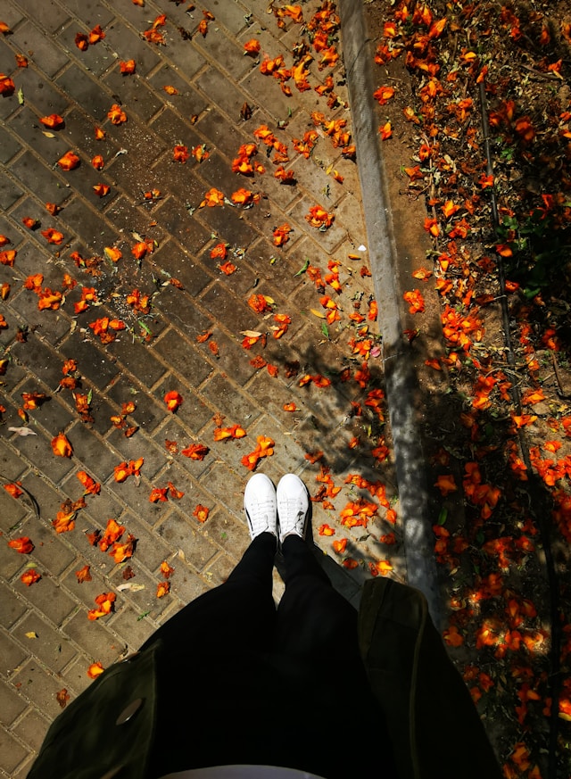 En person i vita sneakers står på en solbelyst trottoar med orange fallna kronblad, kantad av en trottoarkant och några växter.